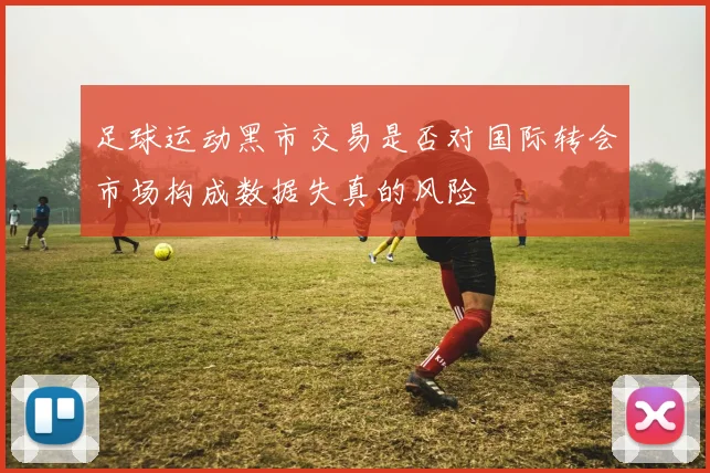 足球运动黑市交易是否对国际转会市场构成数据失真的风险