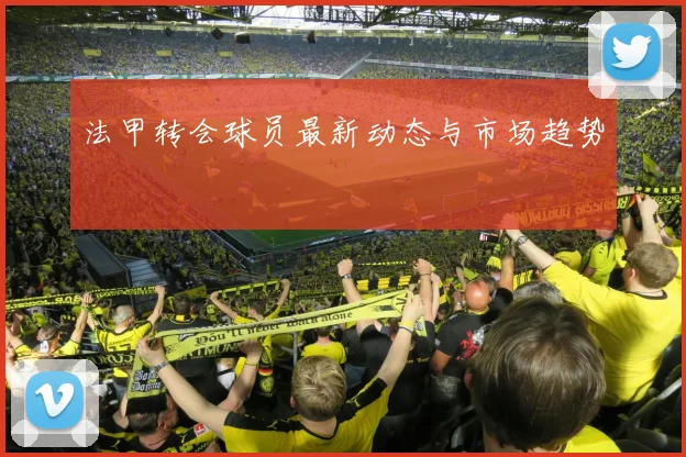 法甲转会球员最新动态与市场趋势