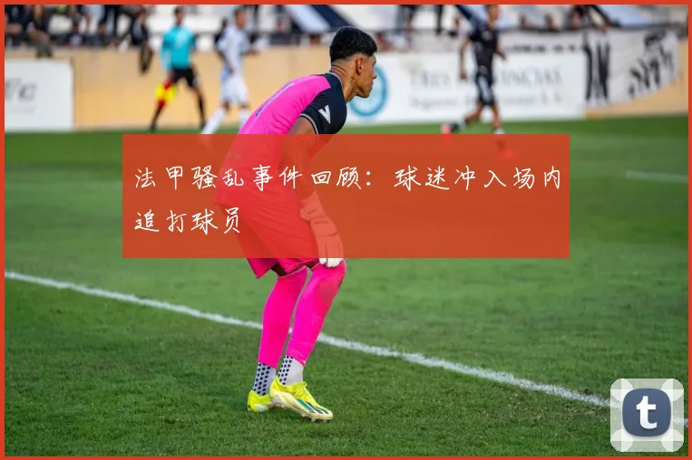 法甲骚乱事件回顾:球迷冲入场内追打球员